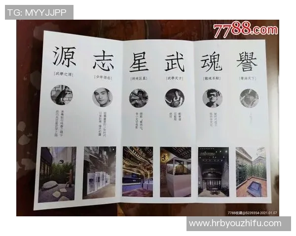 全明星背后的故事：从少年到巨星之路