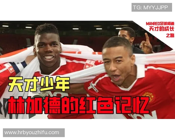 全明星背后的故事：从少年到巨星之路