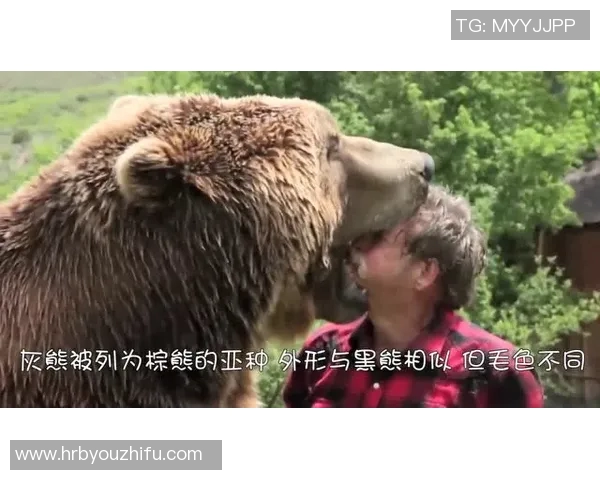 细数灰熊五大高光时刻，满满回忆杀